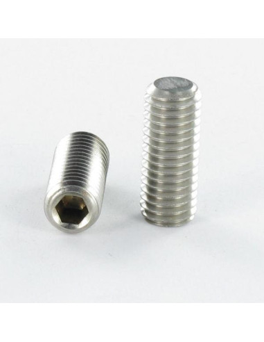 1 x Metalliruuvit Päätön kuusiokoloruuvi (sthc...