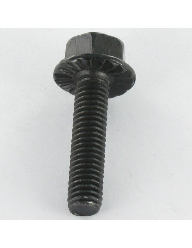 1 x Metalliruuvit Kuusiopää TH M6X16 Musta...