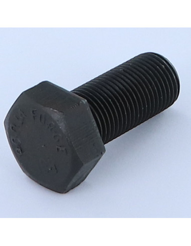 1 x Metalliruuvit Kuusiopää TH M20X50 Luokka...