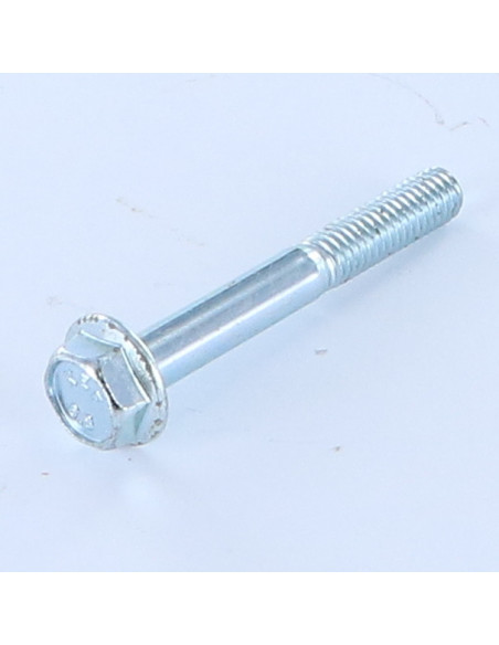 1 x Metalliruuvit Kuusiopää TH M6X45 Sileä kanta Sinkitty teräs