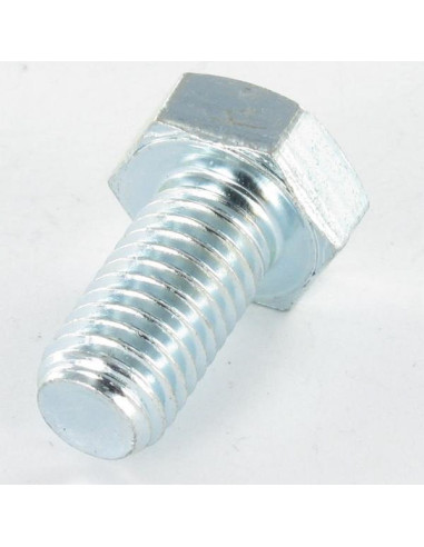 1 x Metalliruuvit Kuusiopää TH M16X55 Luokka...