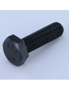 Metalliruuvit Kuusiopää TH M12X30 Luokka 10.9 Kokonaan...