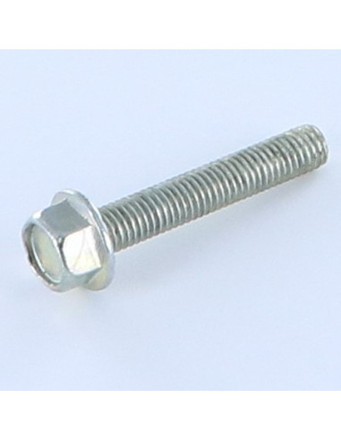 1 x Metalliruuvit Kuusiopää TH M5X30 Sinkitty...
