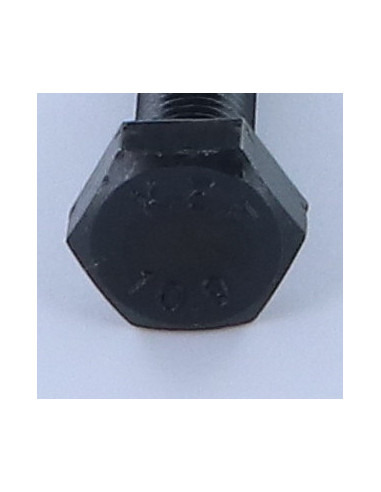 1 x Metalliruuvit Kuusiopää TH M10X30 Luokka...