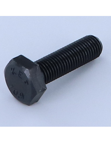 1 x Metalliruuvit Kuusiopää TH M10X40 Luokka...