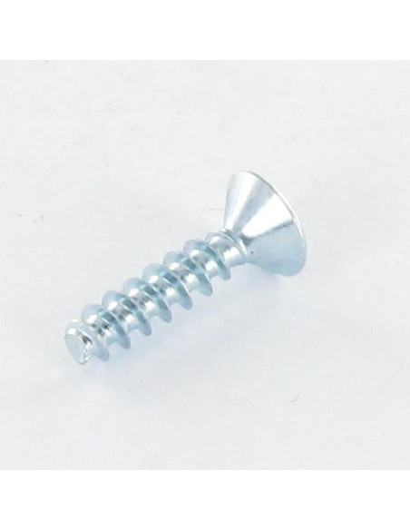 1 x PVC-ruuvi uppokantainen Pozi PZ10 4X10 Sinkitty teräs