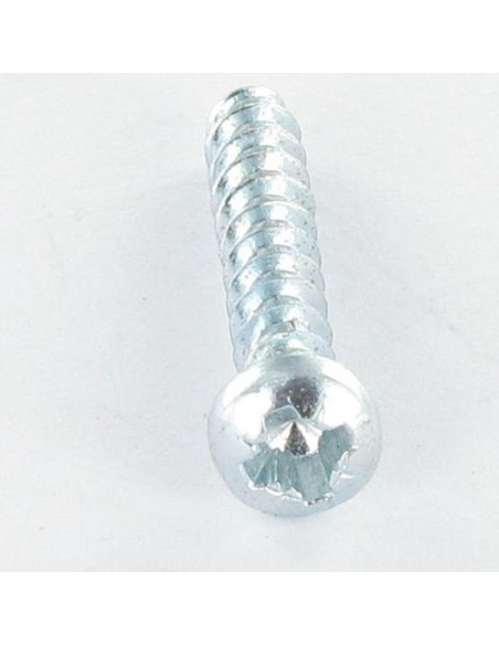 1 x PVC-ruuvi Kupumainen lieriöpää Pozi 2,5x8 Sinkitty teräs mikroruuvi