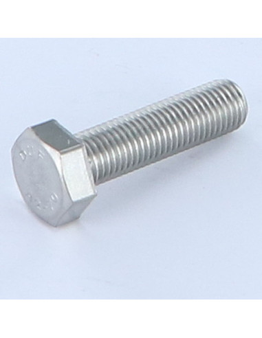 1 x Metalliruuvit Kuusiopää TH M8X30...