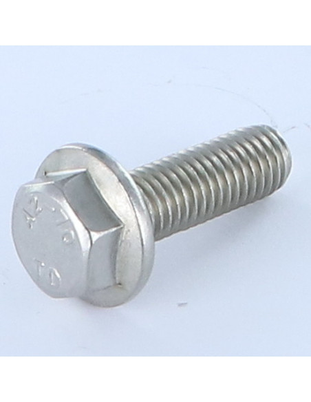 1 x Metalliruuvit Kuusiopää TH Sileä kanta M10X30 Ruostumaton teräs A2