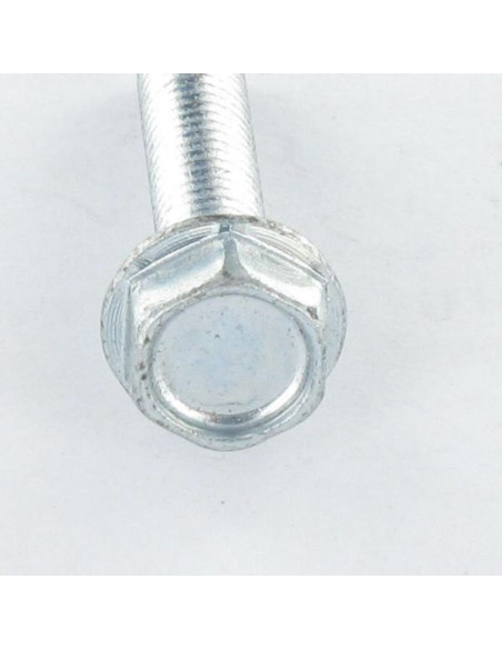 1 x Itsekierteittävä ruuvi Kuusiopää TH Laippakanta Sileä M10X40 Sinkitty teräs