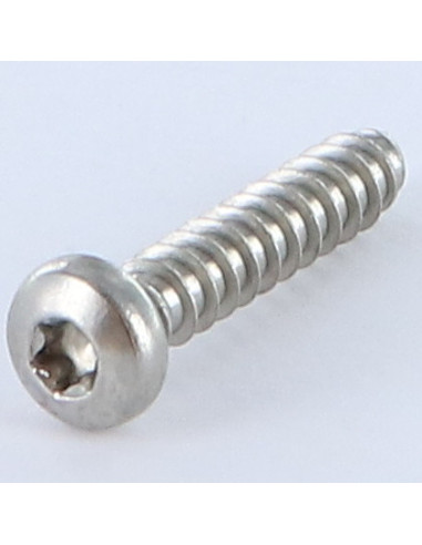1 x Levyruuvi leveä kupukantainen TORX 5,5x25...