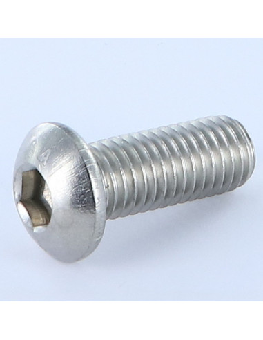 1 x Metalliruuvit BHC (Bombée Hexagonal creux /...