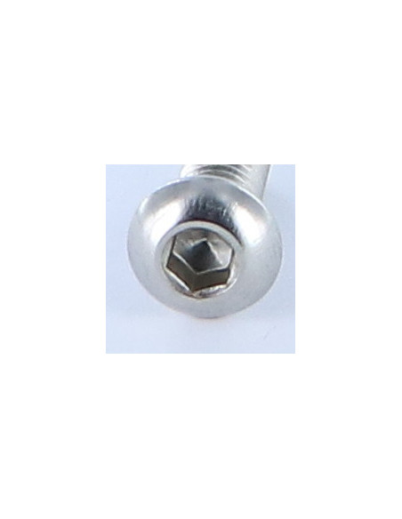 1 x Metalliruuvit BHC (Bombée Hexagonal creux / kupukantainen kuusiopää) M8X20 Kokonaan kierteytetty Avain 5 HC5