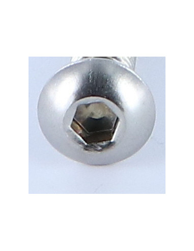 1 x Metalliruuvit BHC (Bombée Hexagonal creux /...