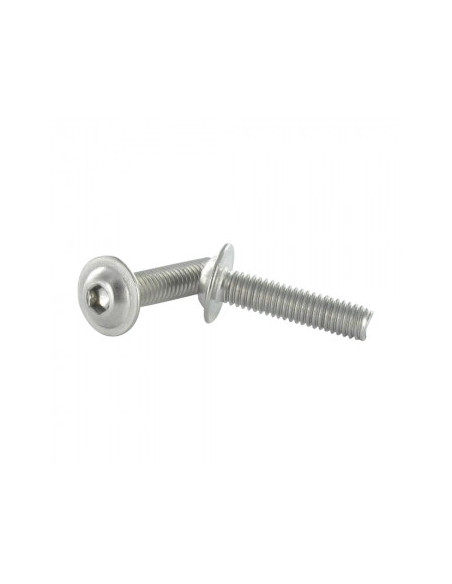 1 x Metalliruuvit BHC (Bombée Hexagonal creux / kupukantainen kuusiopää) Laippakanta M6X50 Avain 4 HC4 Ruostumaton