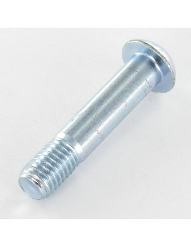 1 x Metalliruuvit BHC (Bombée Hexagonal creux /...