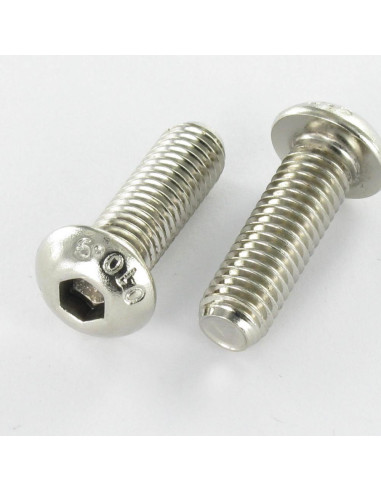 1 x Metalliruuvit BHC (Bombée Hexagonal creux /...