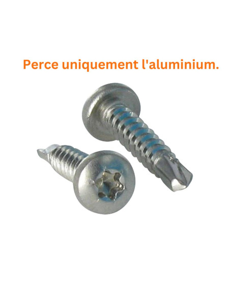 1 x Itseporautuva ruuvi Kupumainen lieriöpää TORX T25 4,8X19 Ruostumaton teräs A2