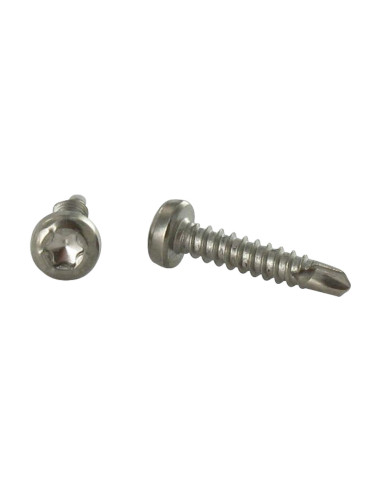 1 x Itseporautuva ruuvi Lieriöpää TORX T15...