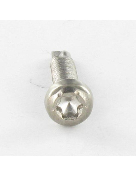 1 x Itseporautuva ruuvi Lieriöpää TORX T15 3,9X19 Ruostumaton teräs A4