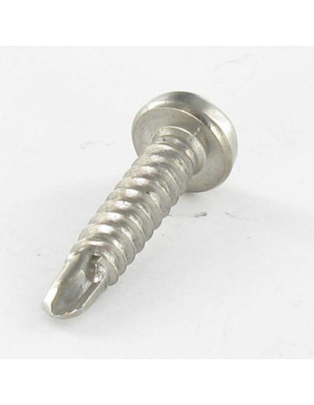 1 x Itseporautuva ruuvi Lieriöpää TORX T15 3,9X19 Ruostumaton teräs A4