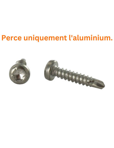 1 x Itseporautuva ruuvi Lieriöpää TORX T15...