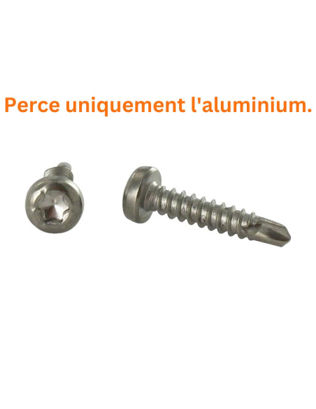 1 x Itseporautuva ruuvi Lieriöpää TORX T15 3,9X19 Ruostumaton teräs A4