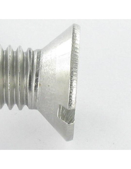 1 x Metalliruuvit uppokantainen Halkaistu M5X16 Ruostumaton teräs A4