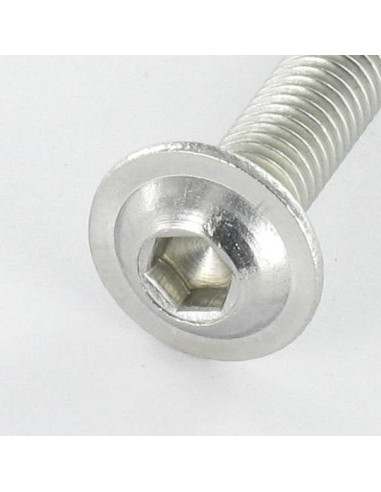 1 x Metalliruuvit BHC (Bombée Hexagonal creux /...