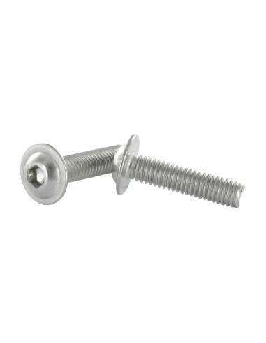 1 x Metalliruuvit BHC (Bombée Hexagonal creux /...