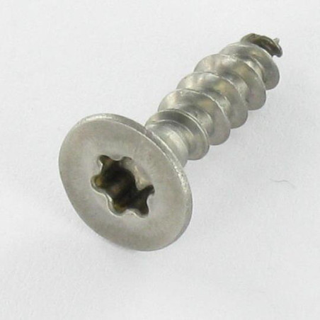 1 x Puuruuvi Ruostumaton teräs A2 uppokantainen 6X180 TORX T25
