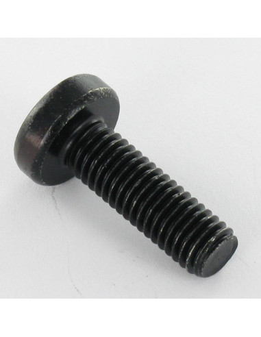 1 x Metalliruuvit leveä kupukantainen TORX T30...