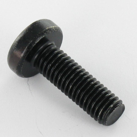 1 x Metalliruuvit leveä kupukantainen TORX T30 M6X12 Musta sinkitty teräs