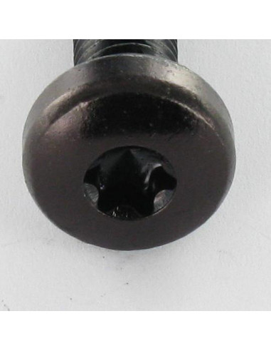 1 x Metalliruuvit leveä kupukantainen TORX T30...