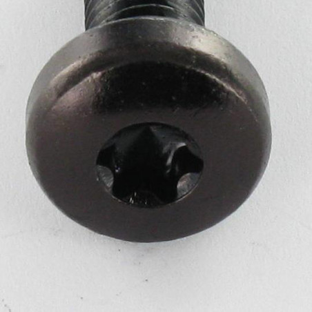 1 x Metalliruuvit leveä kupukantainen TORX T30 M6X12 Musta sinkitty teräs