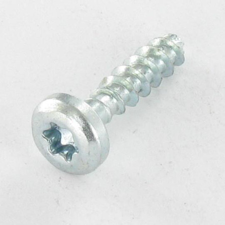 1 x Puuruuvi Pyöreä pää TORX T20 4X20 Kärjetön Sinkitty teräs