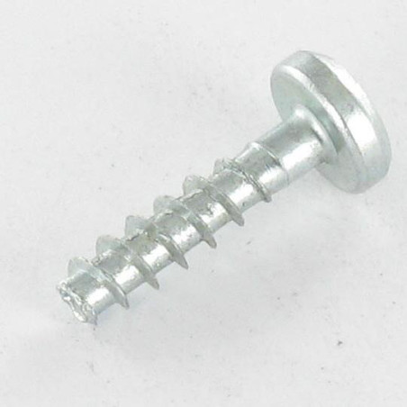 1 x Puuruuvi Pyöreä pää TORX T20 4X20 Kärjetön Sinkitty teräs