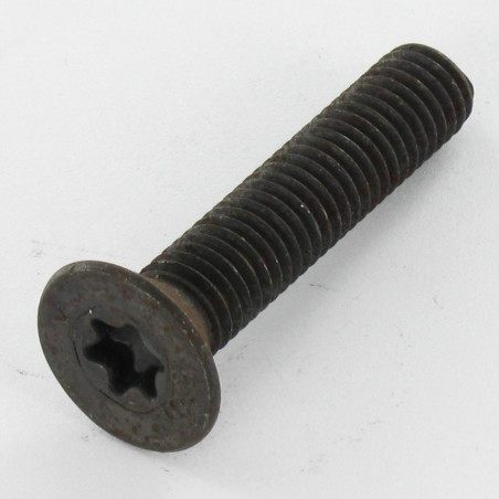 1 x Metalliruuvit uppokantainen TORX T30 M6X25 Luokka 10.9 Raakateräs