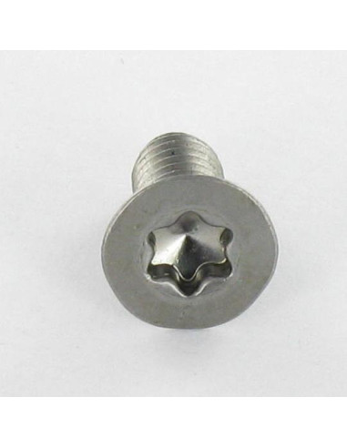 1 x Metalliruuvit uppokantainen TORX T30 M6X25...