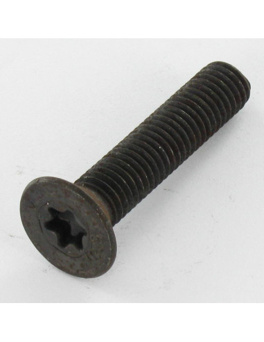 1 x Metalliruuvit uppokantainen TORX T30 M6X35...