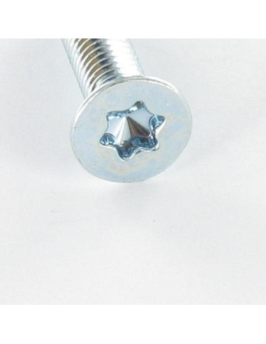 1 x Metalliruuvit uppokantainen TORX T30 M6X30...