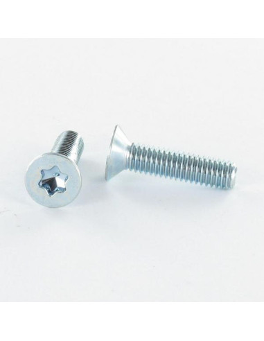 1 x Metalliruuvit uppokantainen TORX T30 M6X40...