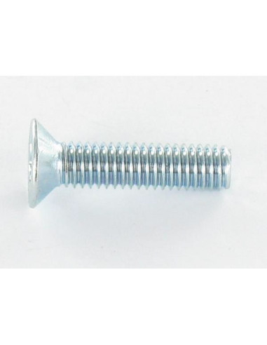 1 x Metalliruuvit uppokantainen TORX T30 M6X25...
