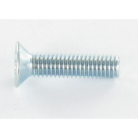 1 x Metalliruuvit uppokantainen TORX T30 M6X25 Sinkitty teräs