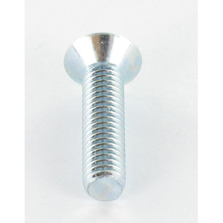 1 x Metalliruuvit uppokantainen TORX T30 M6X25 Sinkitty teräs