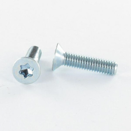 1 x Metalliruuvit uppokantainen TORX T20 M4X16 Sinkitty teräs