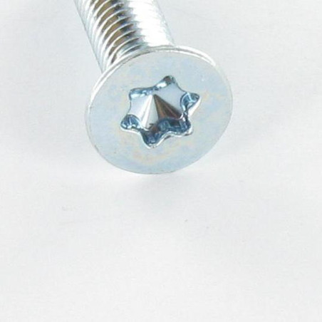 1 x Metalliruuvit uppokantainen TORX T20 M4X16 Sinkitty teräs