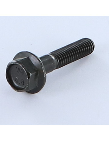 1 x Metalliruuvit Kuusiopää TH M6X30...