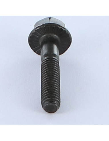 1 x Metalliruuvit Kuusiopää TH M6X30...