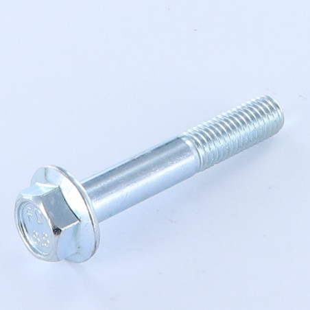 1 x Metalliruuvit Kuusiopää TH M10X60 Osittain kierteytetty Uritettu laippakanta Luokka 8.8 Sinkitty teräs